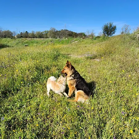Solar Rubina - Piscina Agua Salgada Villa