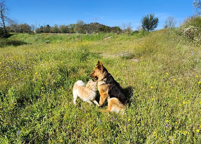 Solar Rubina - Piscina Agua Salgada Villa